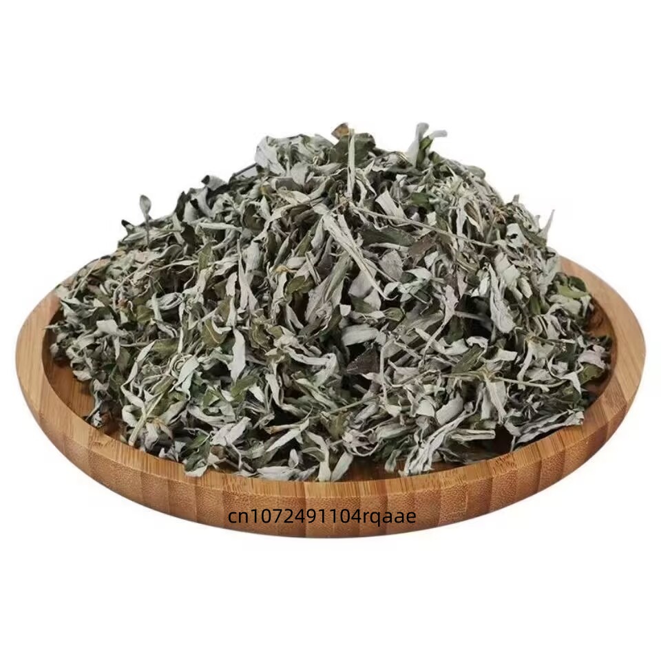 Hojas de Artemisia Argyi Secas - Home Fragrance Organic reseña y precio